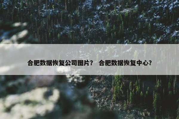 合肥数据恢复公司图片？ 合肥数据恢复中心？