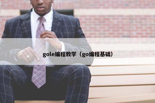 gole编程教学（go编程基础）
