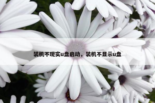 装机不现实u盘启动，装机不显示u盘
