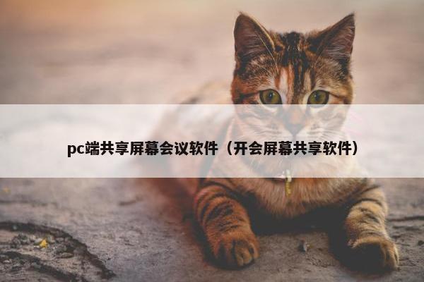 pc端共享屏幕会议软件（开会屏幕共享软件）