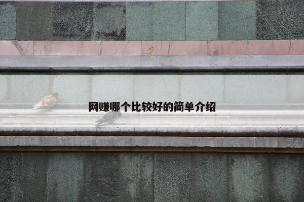 网赚哪个比较好的简单介绍