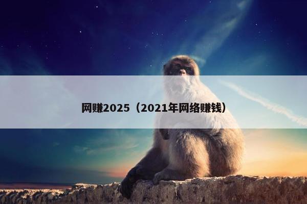 网赚2025（2021年网络赚钱）