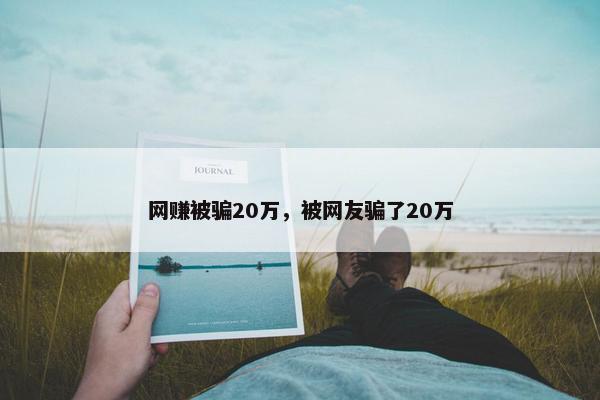 网赚被骗20万，被网友骗了20万