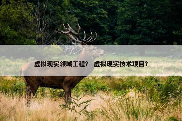 虚拟现实领域工程？ 虚拟现实技术项目？