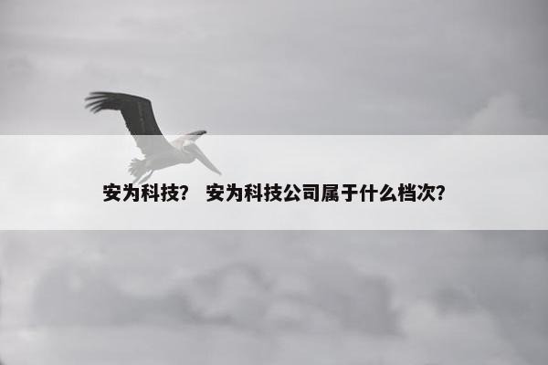 安为科技？ 安为科技公司属于什么档次？