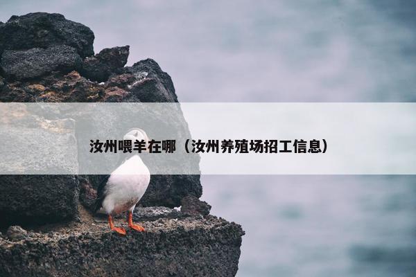 汝州喂羊在哪（汝州养殖场招工信息）