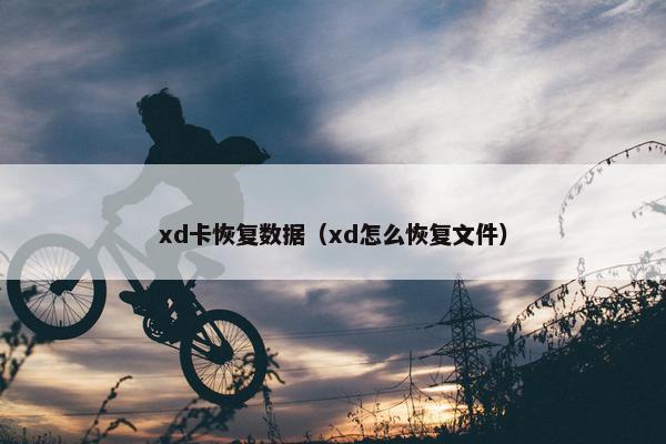 xd卡恢复数据（xd怎么恢复文件）