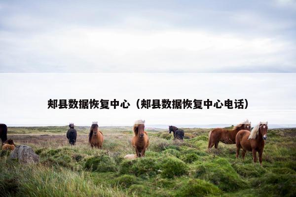 郏县数据恢复中心（郏县数据恢复中心电话）