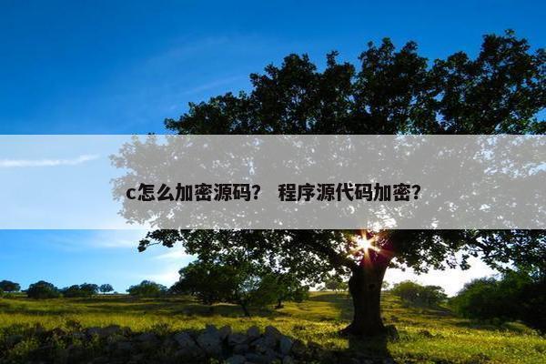 c怎么加密源码？ 程序源代码加密？