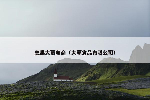 息县大赢电商（大赢食品有限公司）