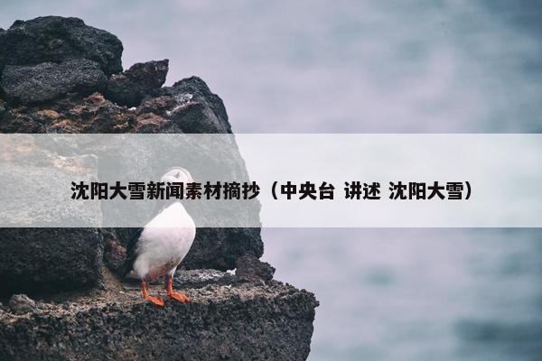 沈阳大雪新闻素材摘抄（中央台 讲述 沈阳大雪）
