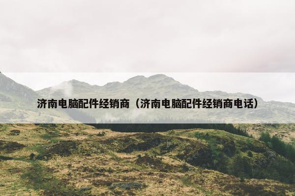济南电脑配件经销商（济南电脑配件经销商电话）