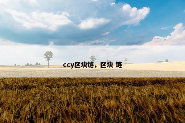 ccy区块链，区块 链