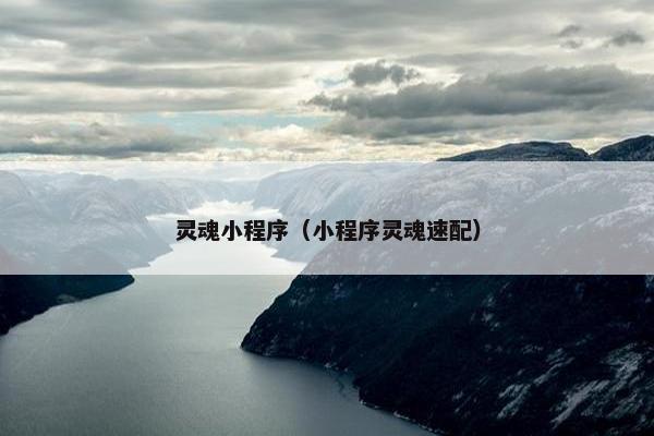 灵魂小程序（小程序灵魂速配）