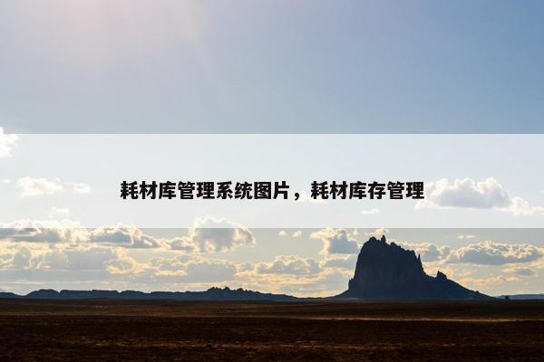 耗材库管理系统图片，耗材库存管理