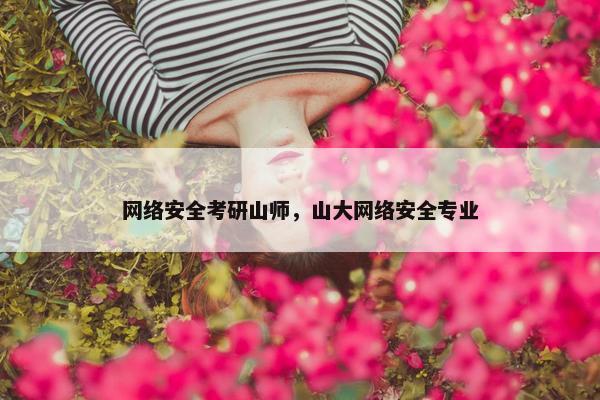 网络安全考研山师，山大网络安全专业