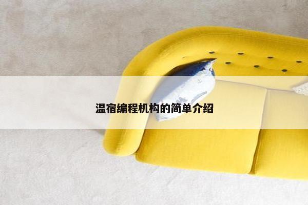 温宿编程机构的简单介绍