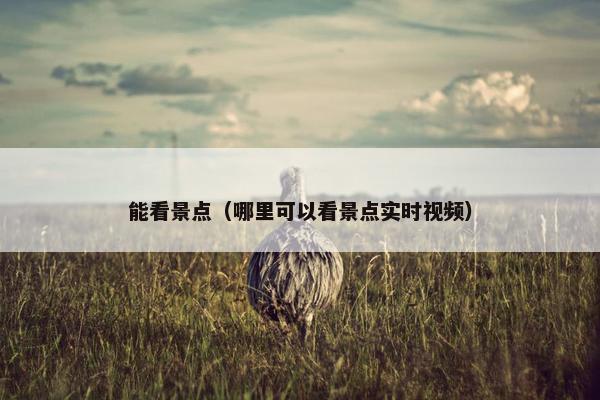 能看景点（哪里可以看景点实时视频）