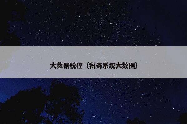 大数据税控（税务系统大数据）