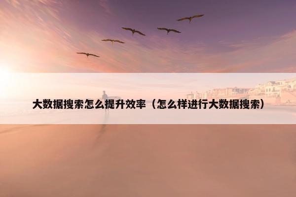 大数据搜索怎么提升效率（怎么样进行大数据搜索）