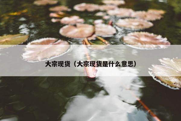 大宗现货（大宗现货是什么意思）