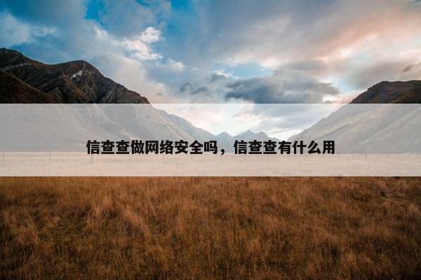 信查查做网络安全吗，信查查有什么用