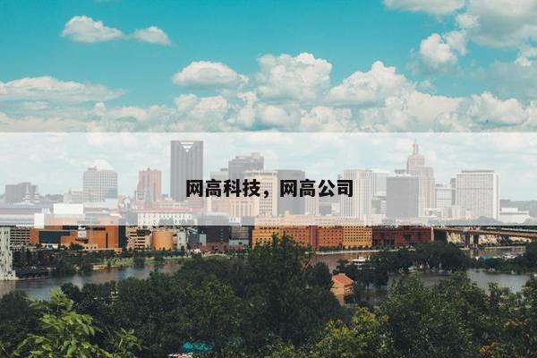 网高科技，网高公司