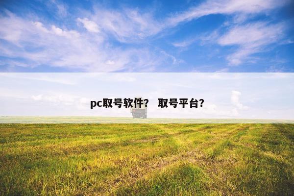 pc取号软件？ 取号平台？