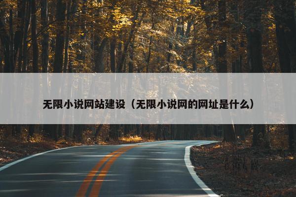 无限小说网站建设（无限小说网的网址是什么）