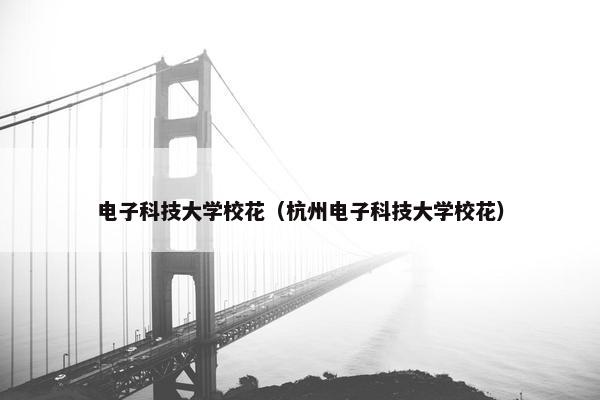 电子科技大学校花（杭州电子科技大学校花）