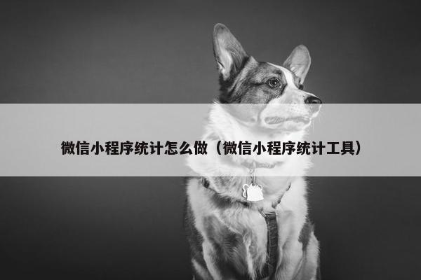 微信小程序统计怎么做（微信小程序统计工具）