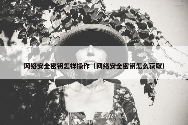 网络安全密钥怎样操作（网络安全密钥怎么获取）