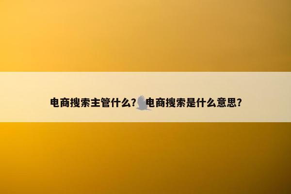 电商搜索主管什么？ 电商搜索是什么意思？