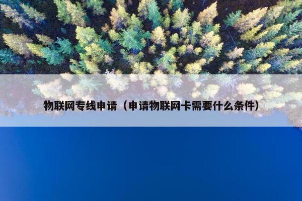物联网专线申请（申请物联网卡需要什么条件）