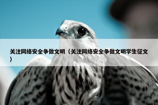 关注网络安全争做文明（关注网络安全争做文明学生征文）