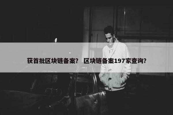 获首批区块链备案？ 区块链备案197家查询？