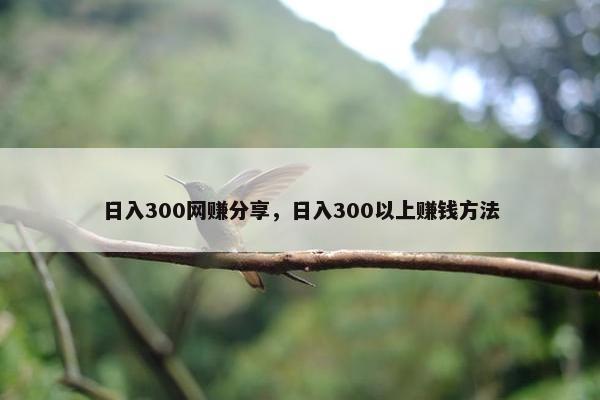 日入300网赚分享，日入300以上赚钱方法