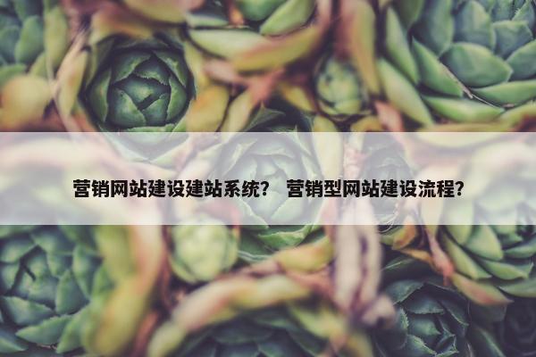 营销网站建设建站系统？ 营销型网站建设流程？