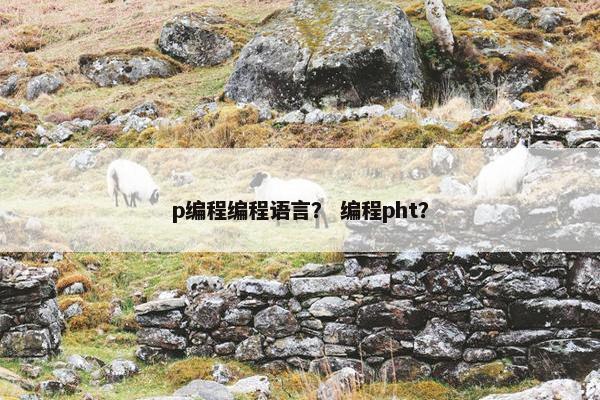 p编程编程语言？ 编程pht？