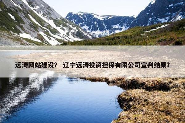 远涛网站建设？ 辽宁远涛投资担保有限公司宣判结果？