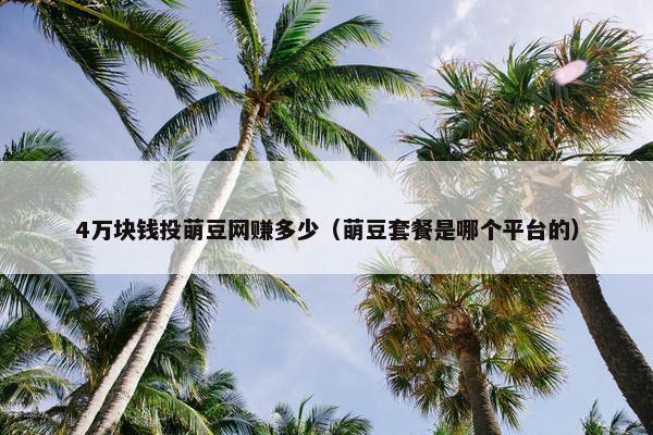 4万块钱投萌豆网赚多少（萌豆套餐是哪个平台的）