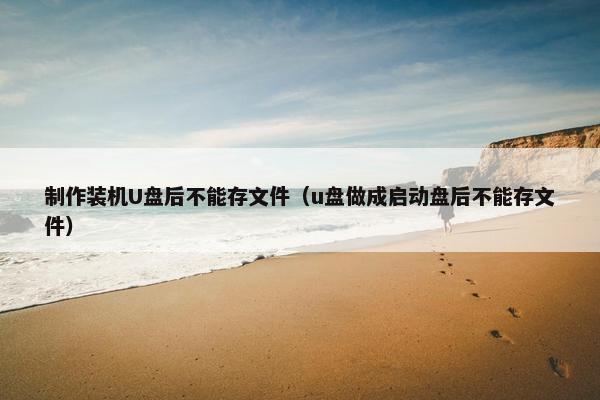 制作装机U盘后不能存文件（u盘做成启动盘后不能存文件）