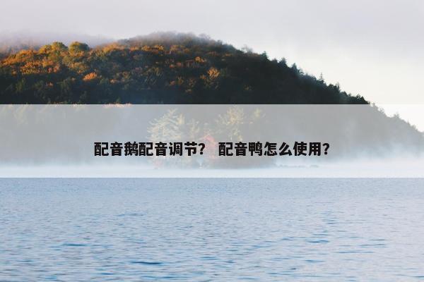 配音鹅配音调节？ 配音鸭怎么使用？