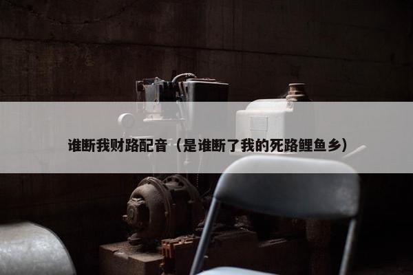 谁断我财路配音（是谁断了我的死路鲤鱼乡）