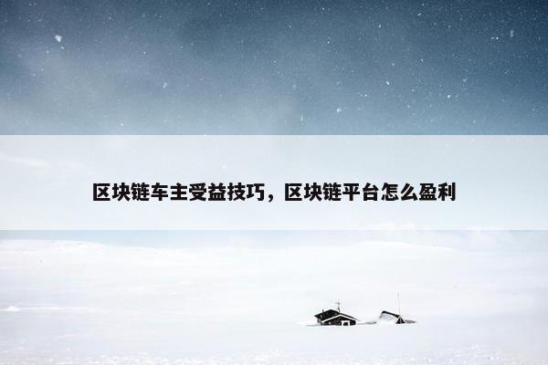 区块链车主受益技巧，区块链平台怎么盈利