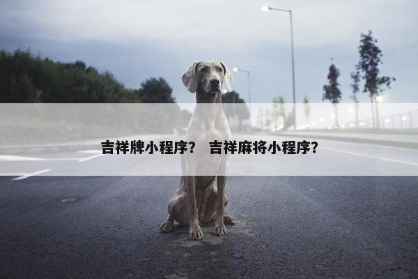 吉祥牌小程序？ 吉祥麻将小程序？