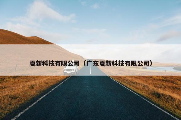 夏新科技有限公司（广东夏新科技有限公司）