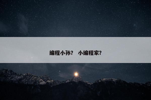 编程小孙？ 小编程家？