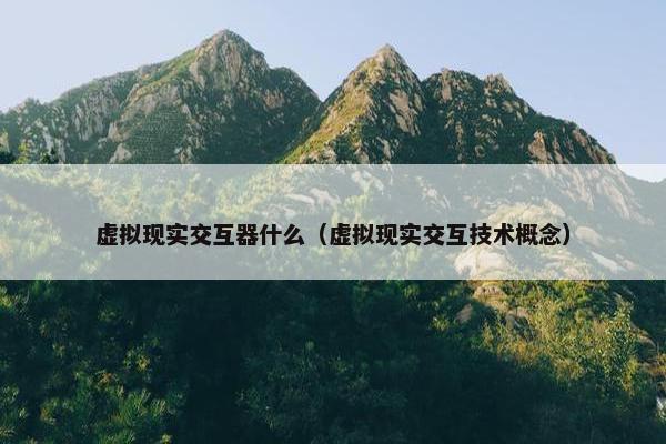 虚拟现实交互器什么（虚拟现实交互技术概念）