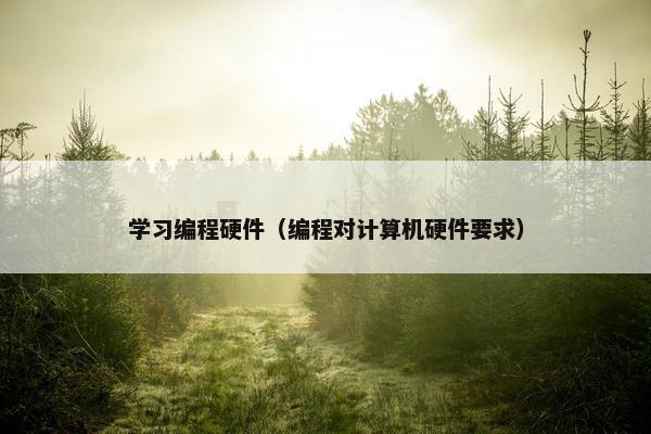 学习编程硬件（编程对计算机硬件要求）